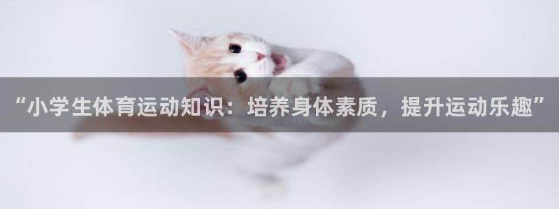 必发官方正版app开户：“小学生体育运动知识：培养身