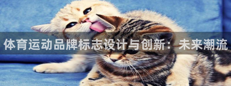 必发官方正版app娱乐代理怎么样：体育运动品牌标志设