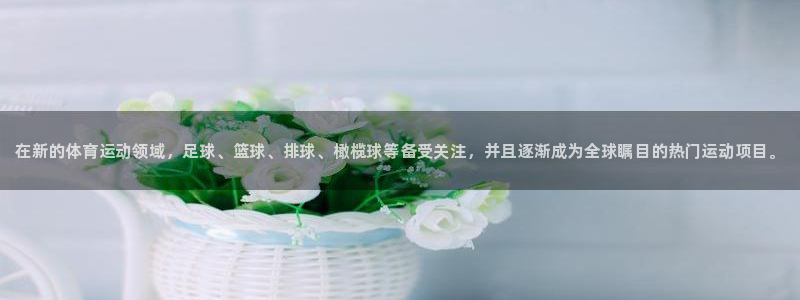 必发官方正版app官方：在新的体育运动领域，足球、篮