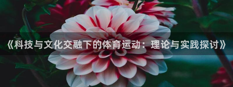 必发官网下载是干嘛的公司：《科技与文化交融下的体育运
