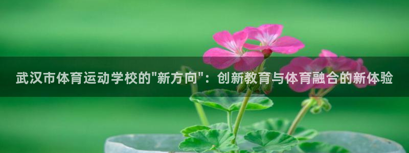 必发官方正版app集团：武汉市体育运动学校的\