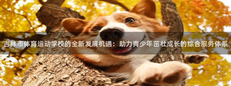 必发官方正版app官网：吉林市体育运动学校的全新发展