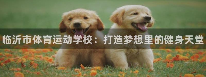 必发官网下载招商电话是多少：临沂市体育运动学校：打造