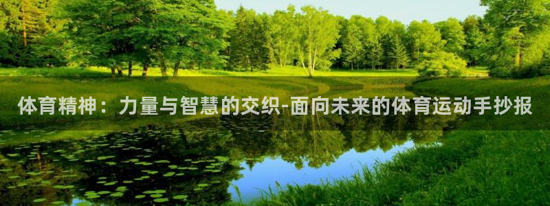 必发官网下载招商电话地址：体育精神：力量与智慧的交织