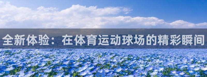 必发官网下载平台注册流程图：全新体验：在体育运动球场