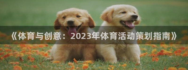 必发官方正版app五金厂：《体育与创意：2023年体
