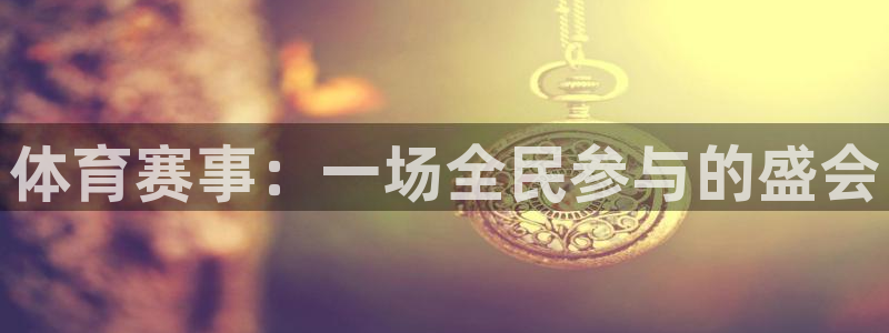 海南必发官网下载：体育赛事：一场全民参与的盛会