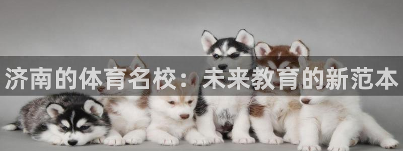 必发官网下载联系电话：济南的体育名校：未来教育的新范本