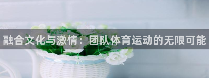 必发官网下载平台APP：融合文化与激情：团队体育运动