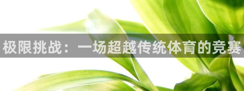 必发官网下载平台APP：极限挑战：一场超越传统体育的