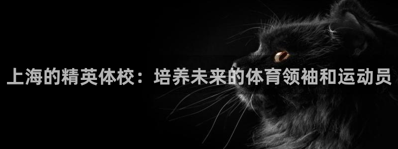 必发官方正版app集团：上海的精英体校：培养未来的体
