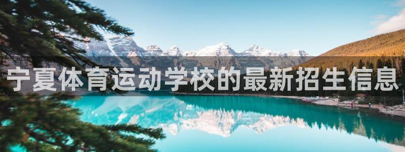 必发官方正版app集团logo：宁夏体育运动学校的最新招生信