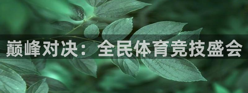必发官方正版app娱乐40996：巅峰对决：全民体育