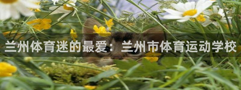 必发官网下载平台是正规平台吗安全吗：兰州体育迷的最爱：兰州市