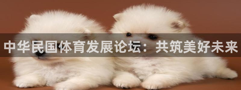 必发官方正版app娱乐40996：中华民国体育发展论