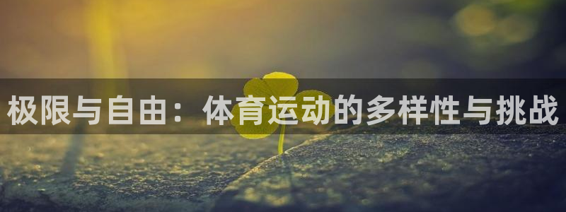 必发官方平台体育