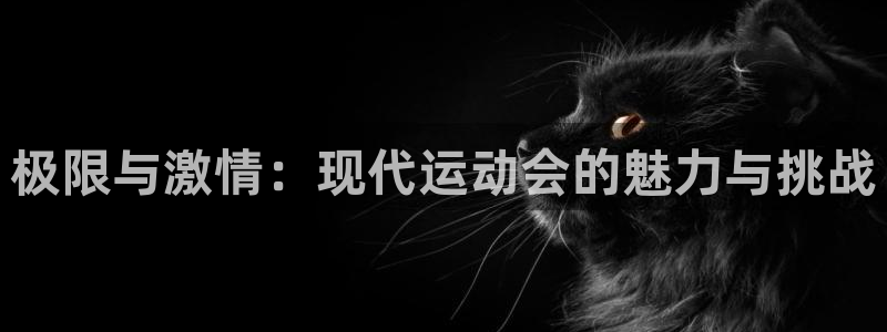 必发官方正版app五金厂：极限与激情：现代运动会的魅力与挑战