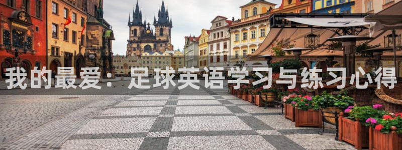 必发官网下载招商电话号码是多少啊