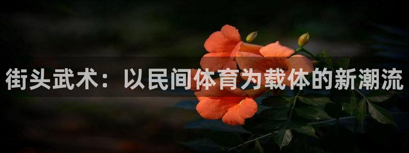 必发官方集团官网：街头武术：以民间体育为载体的新潮流