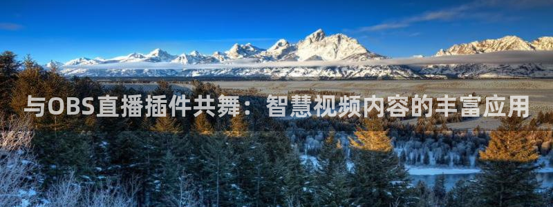 熊猫视频直播：与OBS直播插件共舞：智慧视频内容的丰富应用